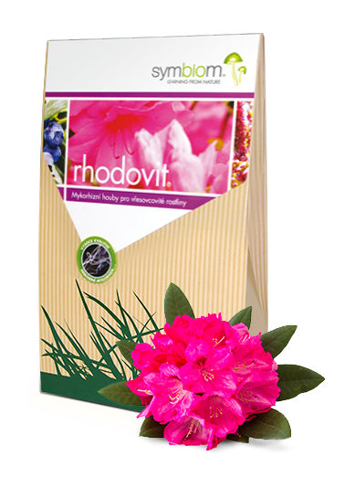 17. Rhodovit rododendron i wrzos